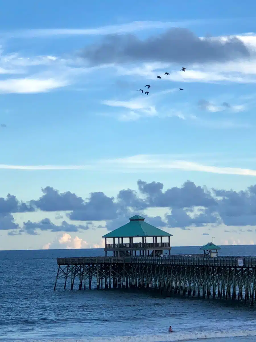 Acorn Counseling and Mediation Ltd - Hero Image