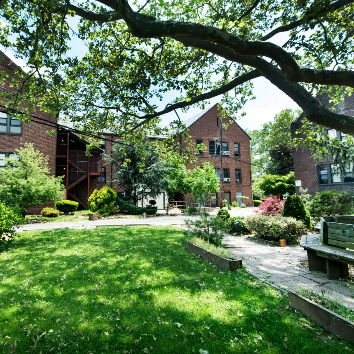 Alpha II Womens Program - Preview