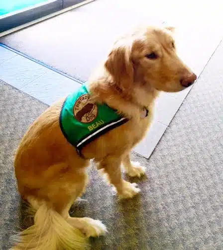 Athens Area Commencement Center - Hero Image