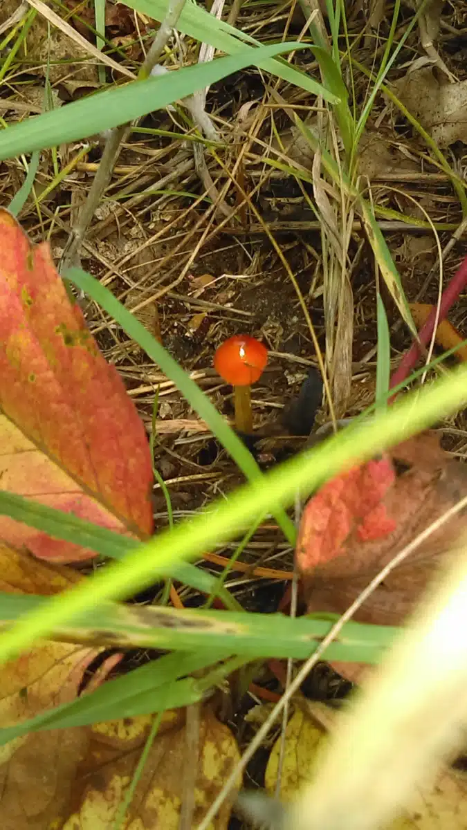 BHG Brainerd Treatment Center - Hero Image