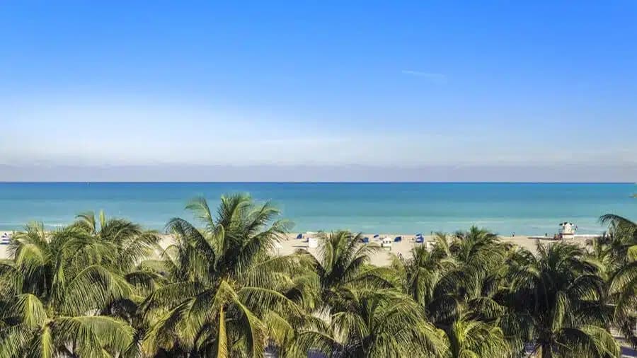 Beaches Recovery Services