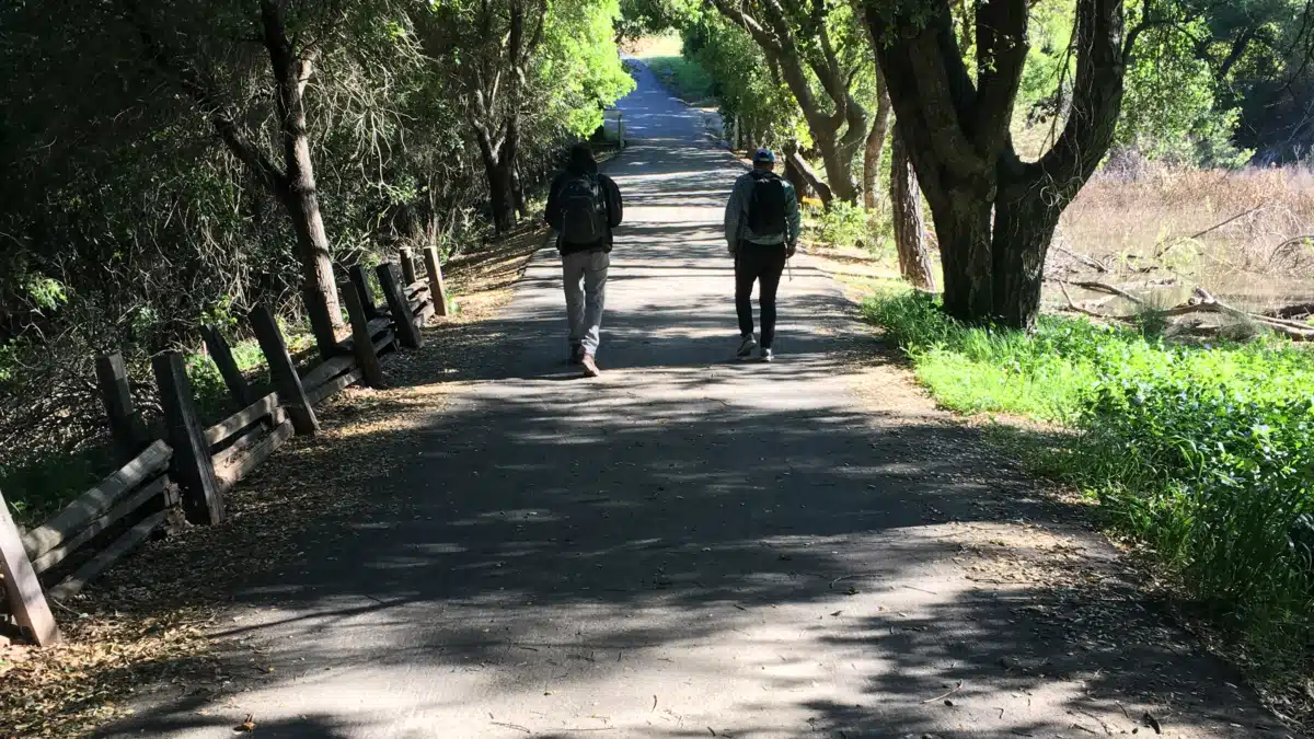 Blue Ridge Counseling Center PA - Hero Image