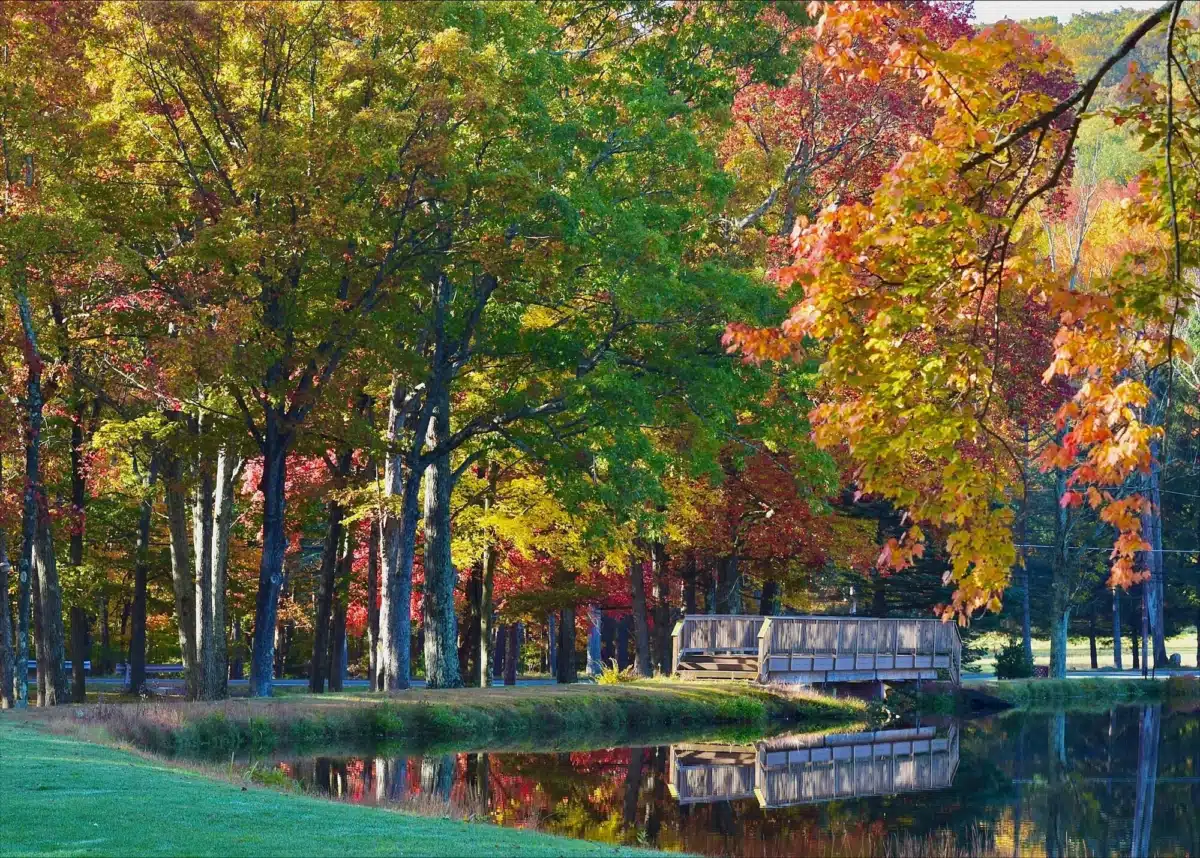 Brookdale Premier Addiction Recovery - Hero Image