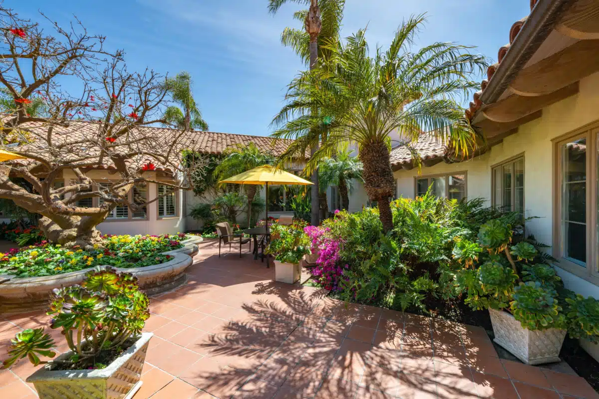 Casa Palmera - Hero Image