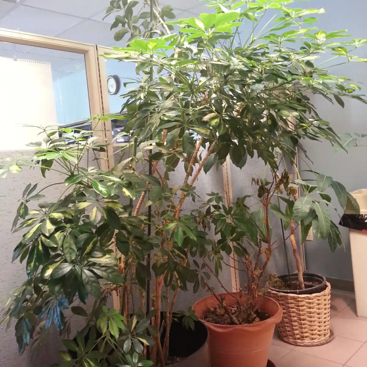 Catholic Social Services of - Hero Image