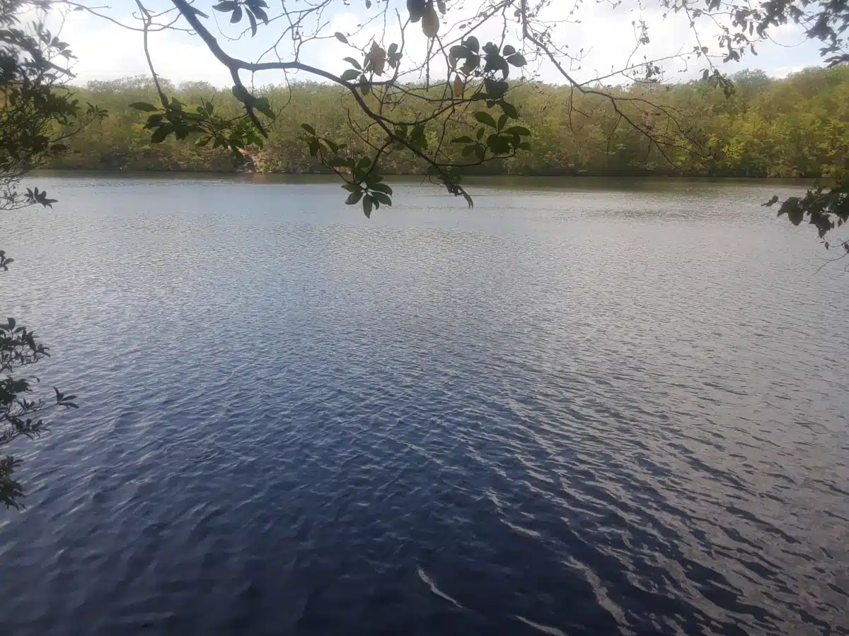 Connecticut Valley Hospital