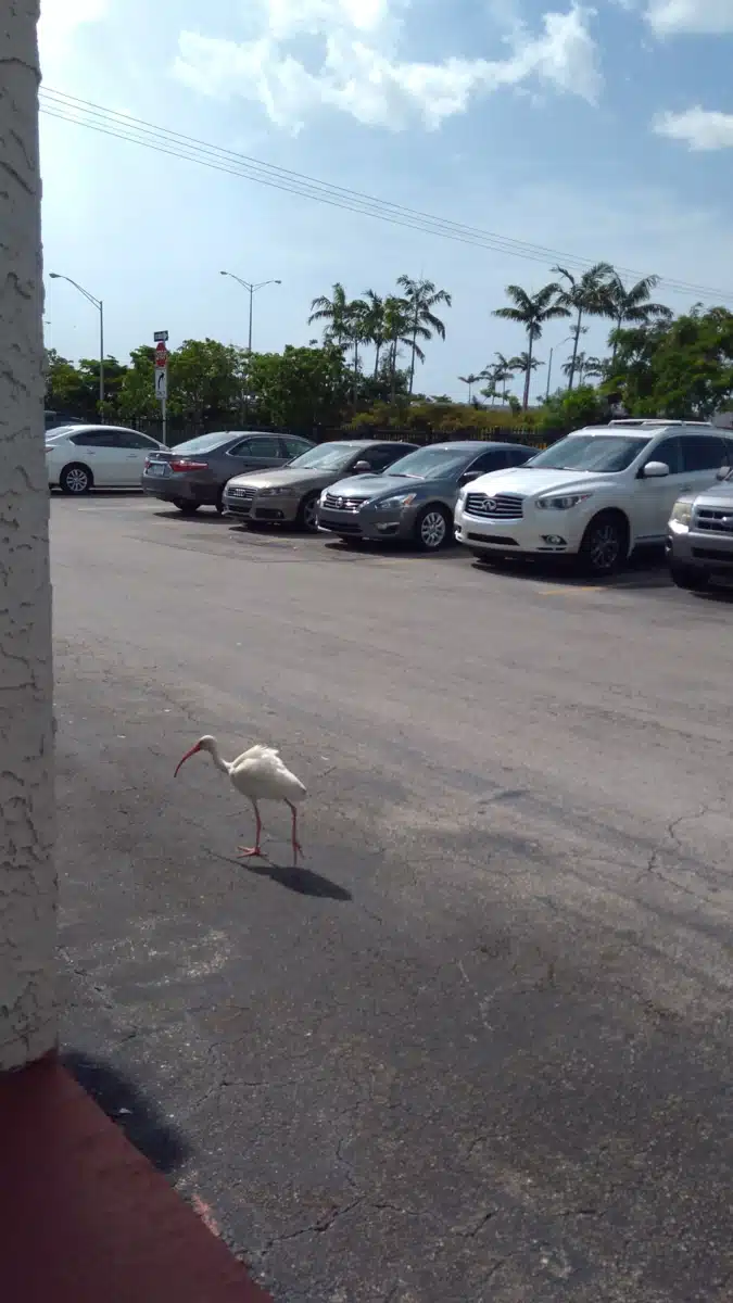 Ctr for Fam and Child Enrichment - Hero Image