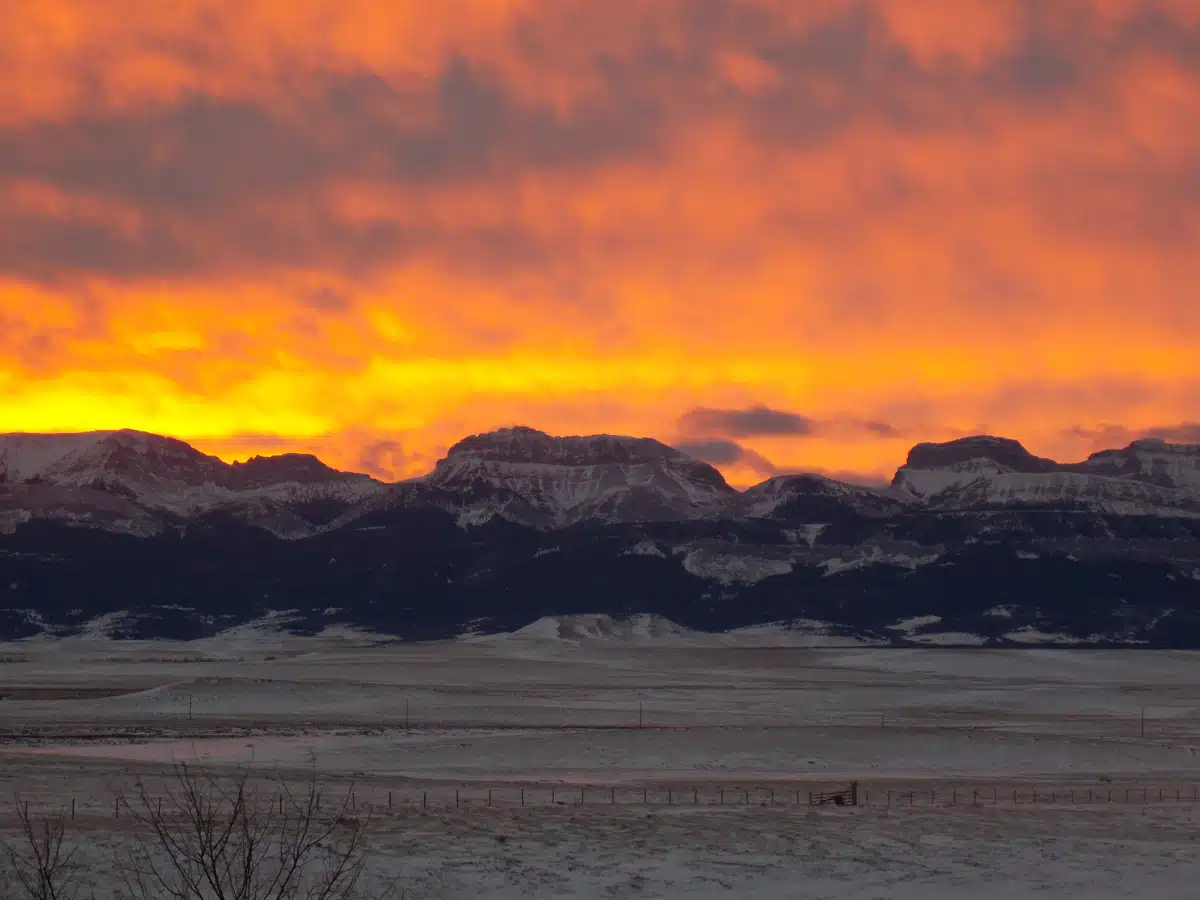 Eastern Front Counseling - Hero Image