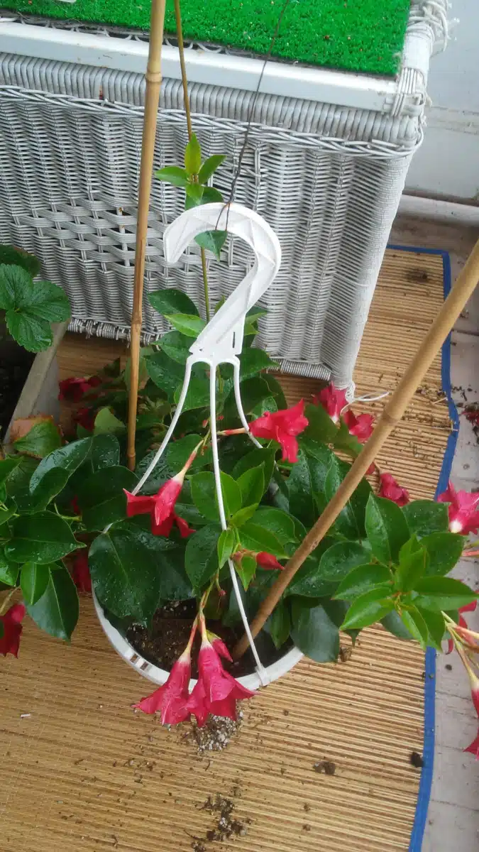 Family Servs and Child Aid Society - Hero Image