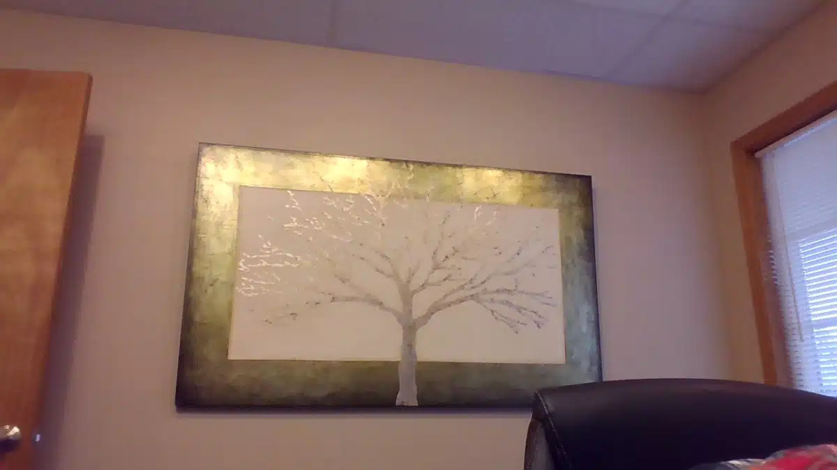 Freedom Recovery LLC