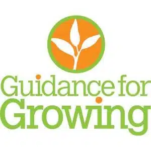 Guidance for Growing LLC