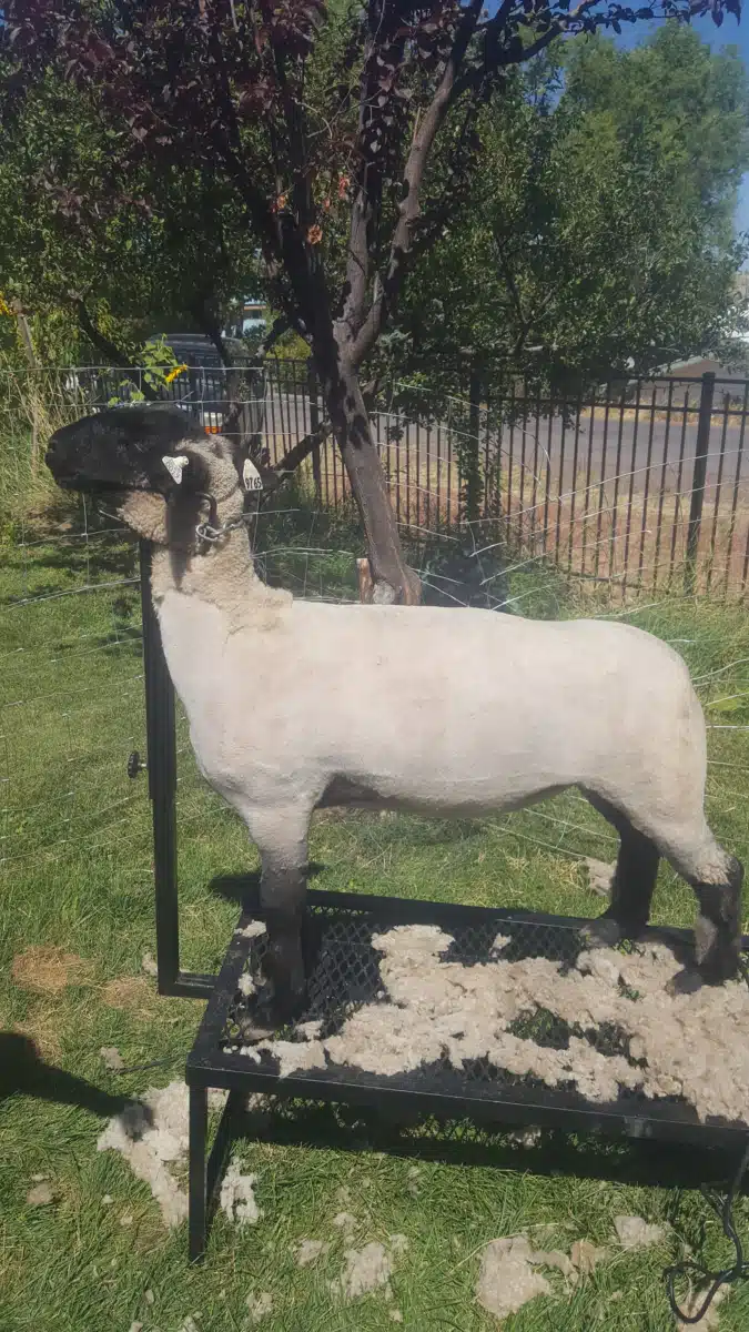 Independence Place - Hero Image