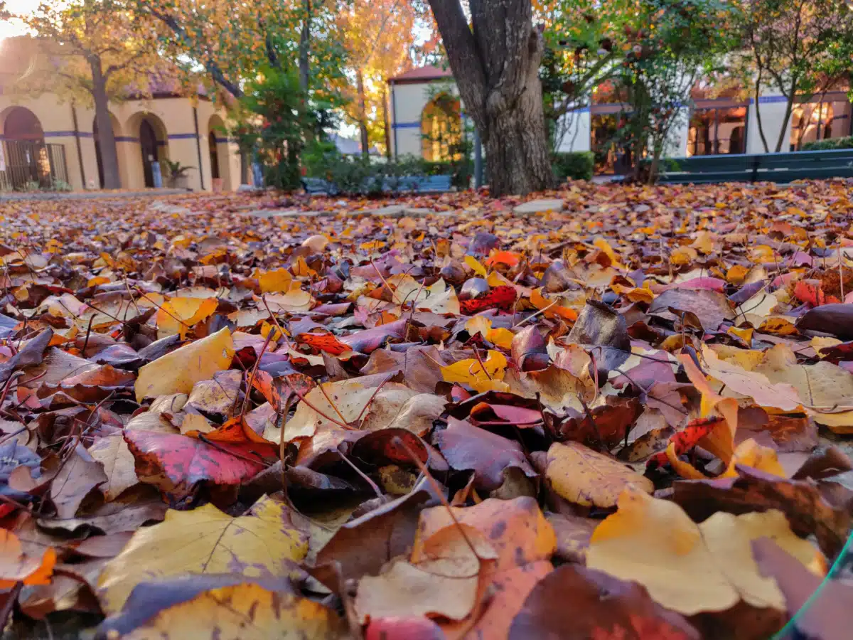 Laurel Ridge Treatment Center - Hero Image