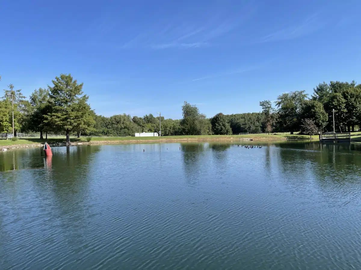 Lincoln Recovery - Preview