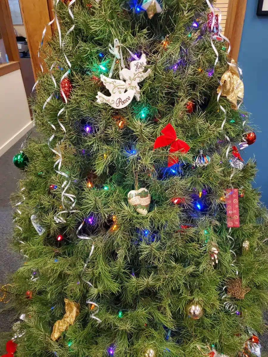 Marin Treatment Center - Hero Image