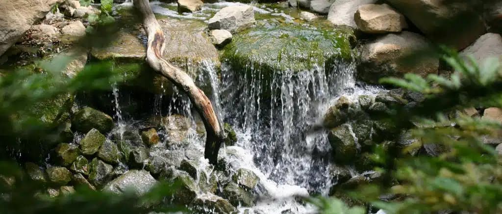 Milestones Ranch Malibu - Hero Image