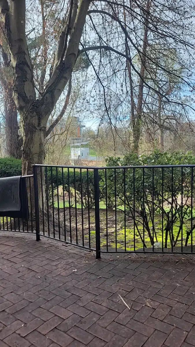 Mosaic Community Services - Preview