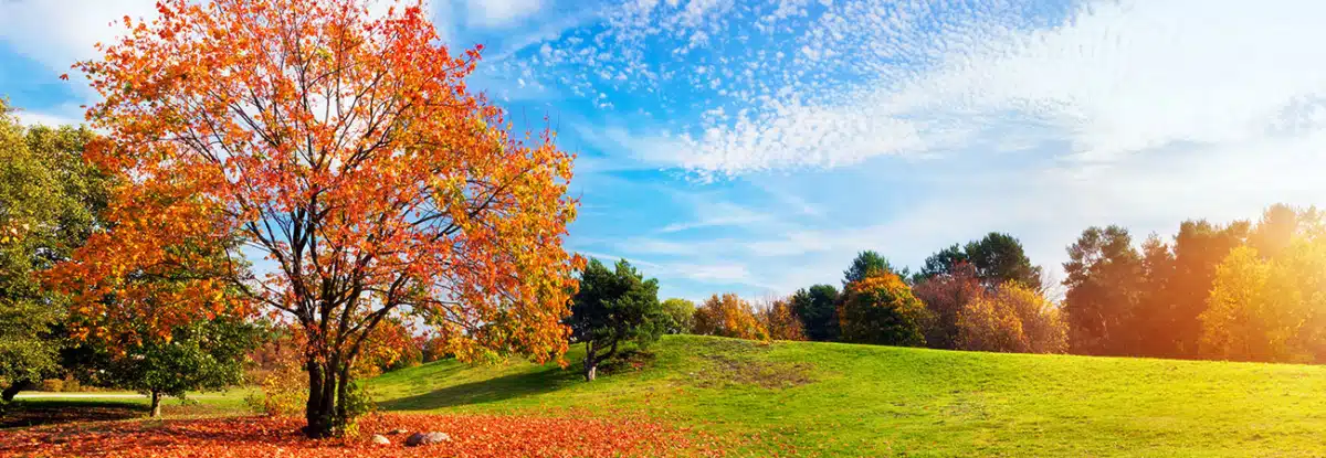 Northwestern Counseling and - Preview