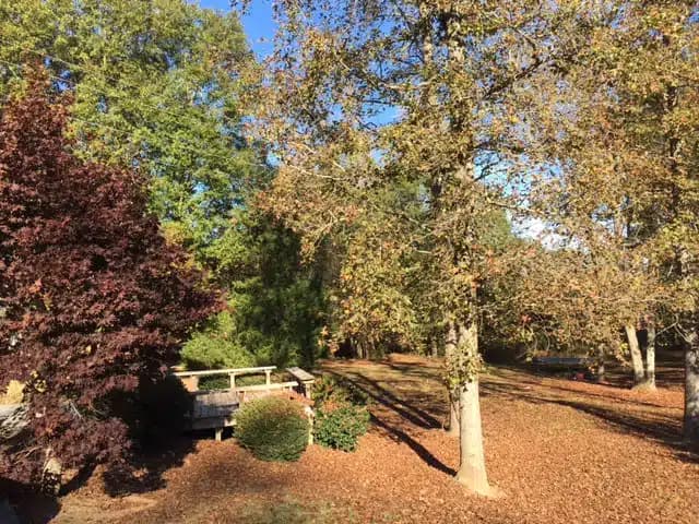 Penfield Addiction Ministries - Hero Image