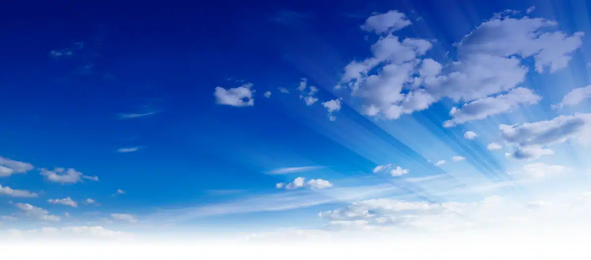 Perspective of Troy - Hero Image