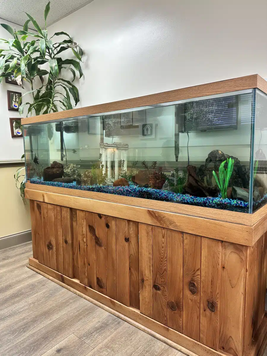 Project ADAM - Preview