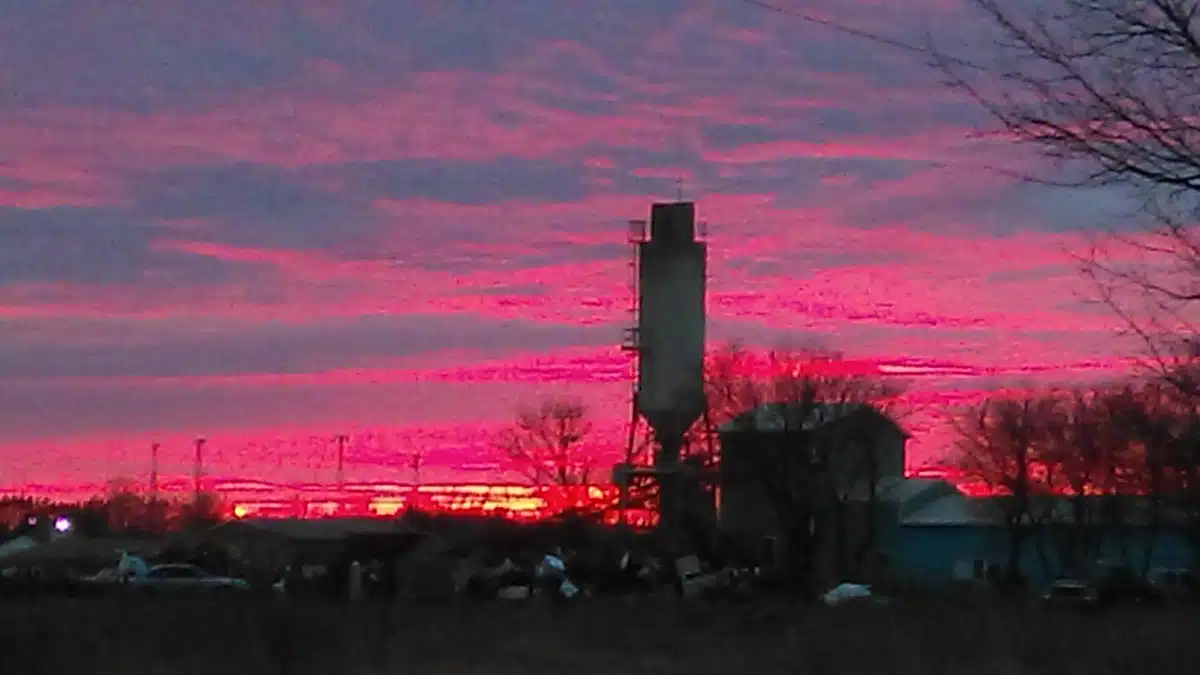 Rewind Inc - Hero Image