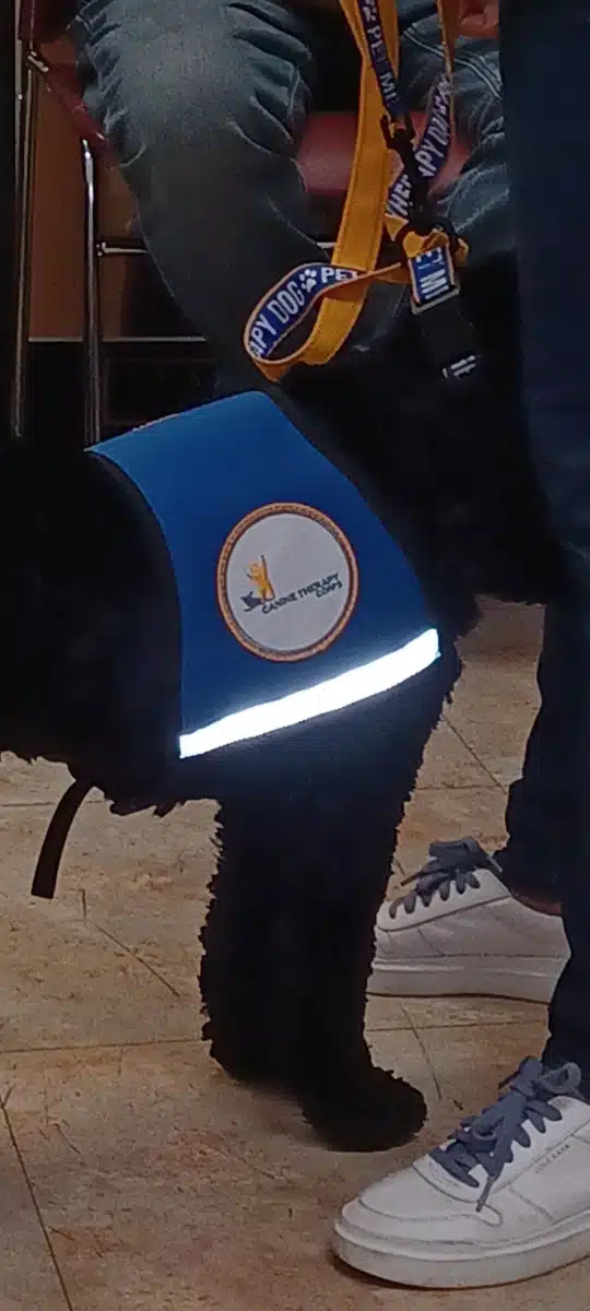 Rincon Family Services