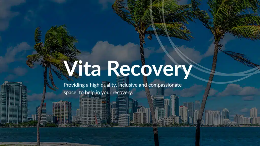 Vita Recovery